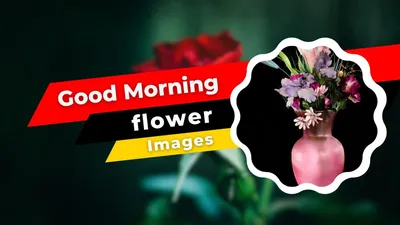 100 Best \"Good Morning\" Messages to Send Someone