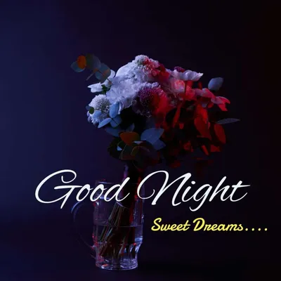 Good Night Images and Wishes | Good night sweet dreams, Beautiful good night  images, Good night beautiful