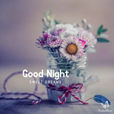 35+ Lovely Good Night Images Free Download - UsefulStep