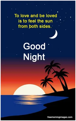 Good Night Wishes: Share the Sweetest Wishes and Images