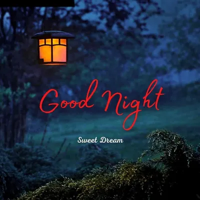 Good Night World. Sweet Dreams! #grandmasfollies #grandma #sweetdreams # goodnight | Instagram