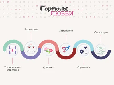 Женские гормоны (часть 1) - RedCells.ru - YouTube