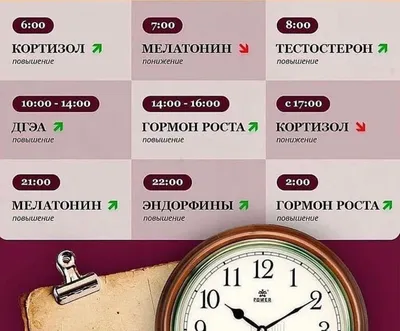 Анализ крови на гормоны в Москве по доступной цене в клинике АО Медицина |  Записаться на прием