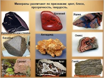 Коллекция минералов и горных пород (20 образцов) в деревянной коробке, цена  - 4770 руб