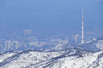 Арт, далекое будущее, город Almaty…» — создано в Шедевруме