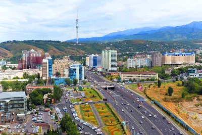 План действий по программе «Зеленый город» в Алматы ведет к разрушительному  созиданию - Bankwatch