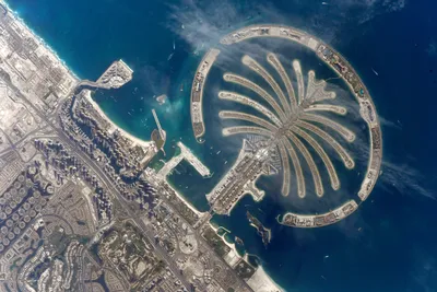 Картинки dubai, город, дубай, оаэ, вид, вечер, огни, небо, downtown burj  dubai, burj dubai - обои 1600x900, картинка №131471