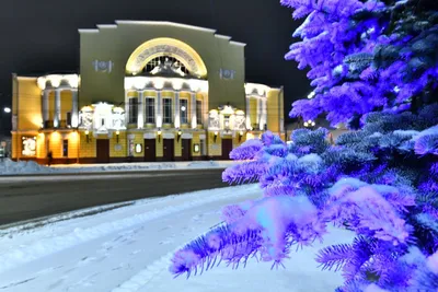 Новогодний сказ о Царе Берендее и Снегурочке (яркая встреча Нового Года в  славном Ярославле — гулянья в Берендеевом царстве Переславля Залесского —  теплый прием в «морозном» тереме Снегурочки в Костроме, с дегустацией