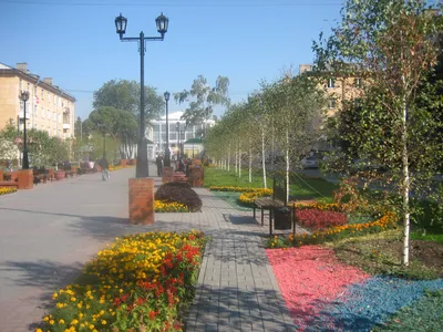 Природа город Омск