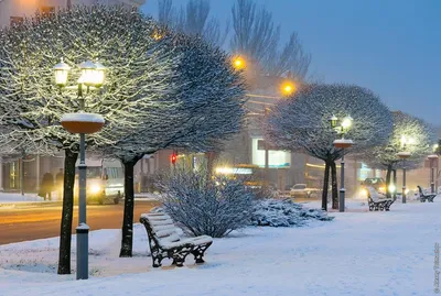 Запорожцам показали вечерний город в снегу (ФОТО) - Vmestezp.org
