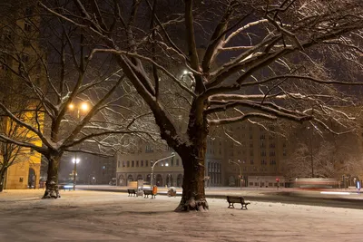 картинки : снег, зима, Дорога, улица, Манхеттен, городской пейзаж, в центре  города, Nyc, Погода, время года, Нью-Йорк, Ny, метель, городской ландшафт,  Замораживание, окрестности, городской район, Человеческое поселение, зимняя  буря 2912x4368 - -