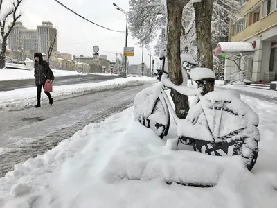 Зима, ноча в городе зимы, город зимы, зима в парке, снег Стоковое  Изображение - изображение насчитывающей холодно, снежности: 120094473