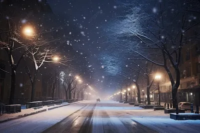 Картинки Города Канада зимние Торонто снега Здания Деревья 3840x2400