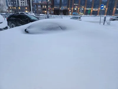 Дыхание зимы: в российских регионах выпал снег :: Новости :: ТВ Центр