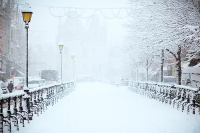 Первый снег: тюменцы фотографируют снежный город и лепят снеговиков