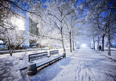 пара гуляет по городу зимой, пара, зима, снег фон картинки и Фото для  бесплатной загрузки