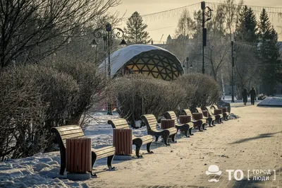 Белоснежный город: подборка живописных снимков занесенного снегом Владимира