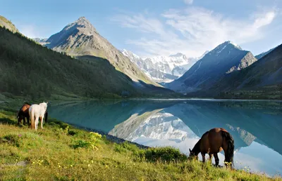Самые красивые горы России, которые нужно увидеть хотя бы раз в жизни -  The-Challenger.ru