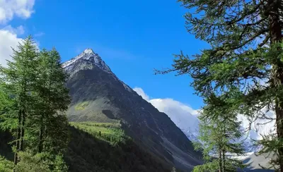 Высочайшие горы России: топ-10 самых высоких гор