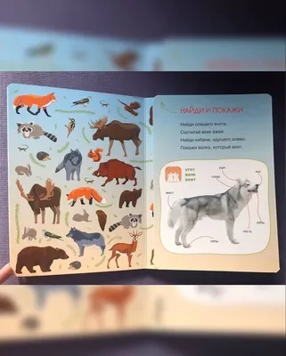 1 шт. говорящие питомцы со звуком, говорящие кнопки для обучения собак,  товары для домашних животных, записываемые интерактивные пластиковые  игрушки для собак | AliExpress
