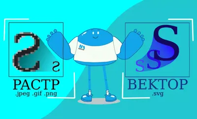 Растровая и векторная графика: что это, отличия, особенности