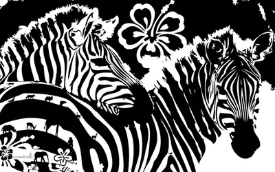 North American Дикие Животные Набор В Черный И Белый — стоковая векторная  графика и другие изображения на тему Декоративная утка - iStock