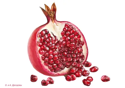 10 интересных фактов о «короле всех плодов» гранате