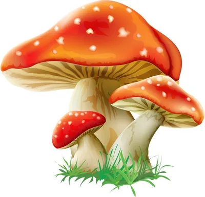 Белый гриб рисунок для детей - 75 фото