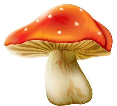 Раскраска грибы для детей распечатать бесплатно или скачать | Ozornik.net
