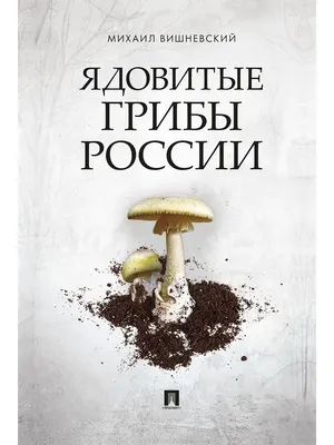 Ядовитые грибы России. Проспект 15368214 купить за 567 ₽ в  интернет-магазине Wildberries