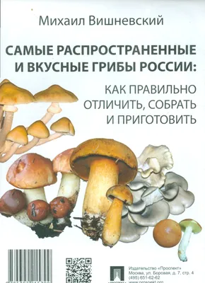 Knigi-janzen.de - Лекарственные грибы России | Вишневский М. |  978-5-392-34910-4 | Купить русские книги в интернет-магазине.