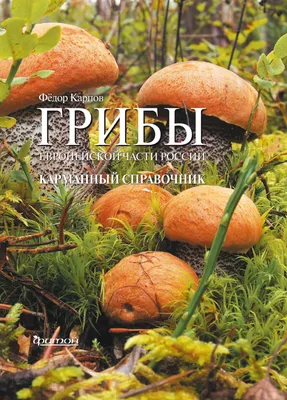 Грибы России. Определитель С. Кривошеев - купить книгу Грибы России.  Определитель в Минске — Издательство АСТ на OZ.by