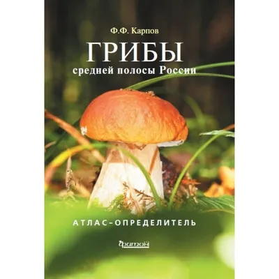 Какие грибы в России любят больше всего — читать на Gastronom.ru