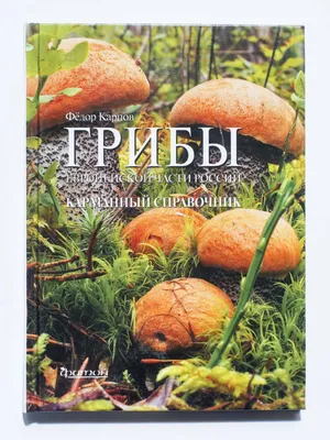 Старинная цветная гравюра в раме «Ядовитые грибы», Россия, н. 20 в.