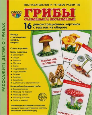 Демонстрационные картинки Грибы, Съедобные и Несъедобные - купить  подготовки к школе в интернет-магазинах, цены на Мегамаркет |