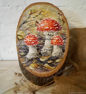 Картина на стену Фантастические грибы - купить , картина с изображением  ярких грибов