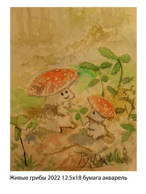 Осеннее макро-вдохновение: грибы в фотографиях читательницы \"Чайки\"  Кристины - Chayka.lv