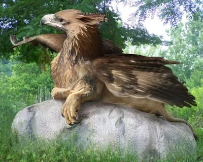 Грифон — крылатый лев или четверолапый орел? — Порог миров