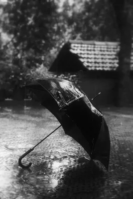 Картинки грустные черно белые дождь (66 фото) » Картинки и статусы про  окружающий мир вокруг