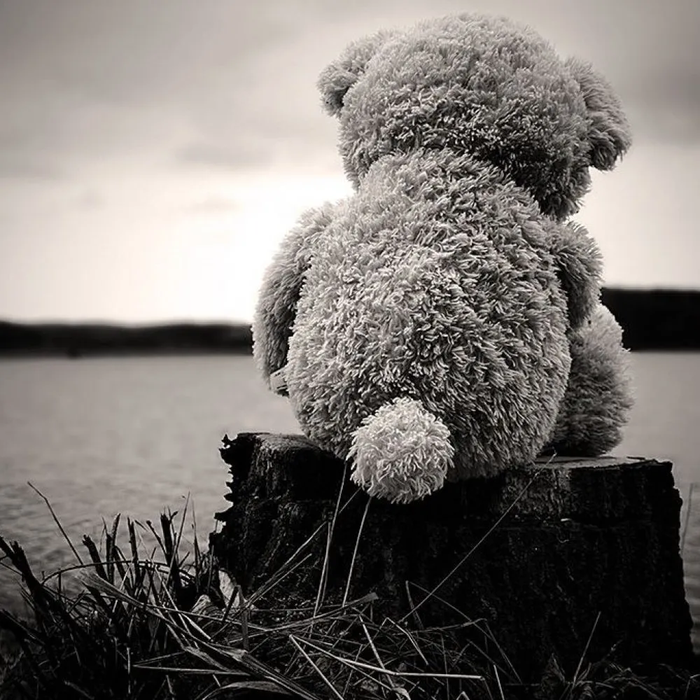 Аватарки грусть. Грустные фото. Грустный Медвежонок. Грусть тоска одиночество. Одинокий Медвежонок.