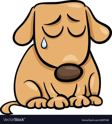 Бассет хаунд собака с грустными глазами