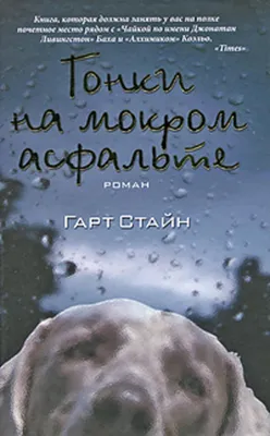 Москвич нашел в Астрахани самых грустных собак | АРБУЗ