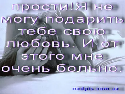 Иллюстрация 4 из 12 для Стихи. Песни - Александр Новиков | Лабиринт -  книги. Источник: Лабиринт