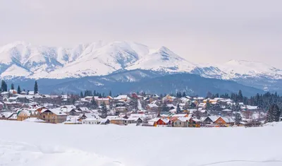 Грузия. Trekking | Pro Trener Camps