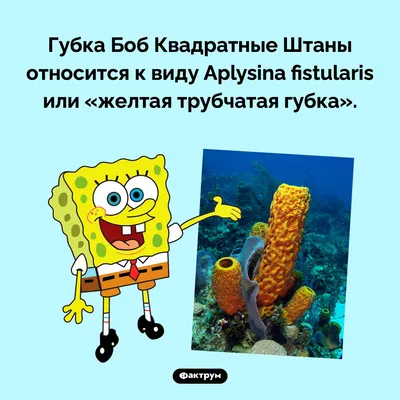 Губка Боб Квадратные Штаны #2 Патрик и Спанч Боб в игре от Nickelodeon  #крутилкины - YouTube