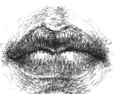 Последовательность выполнения рисунка губ с гипсового слепка — Blog —  Ghenadie Sontu Fine Art