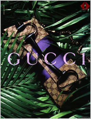 Gucci - Картинка на телефон / Обои на рабочий стол №529691