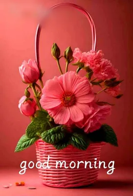 Good Morning | Good morning flowers rose, Good morning roses, Good morning  flowers quotes
