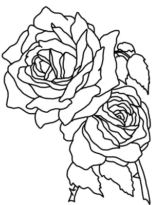 гул букет красивый, букет, букет экзотических цветов, цветы, розы,  Флористика на свадьбу Москва