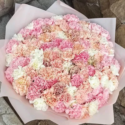Купить Гвоздики Одиночные Одиночные Розовые в Минске с доставкой из  цветочного магазина